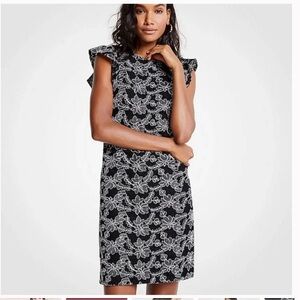 ANN TAYLOR Lace black and white shift dress Ruffle / Flutter sleeve sz 10
